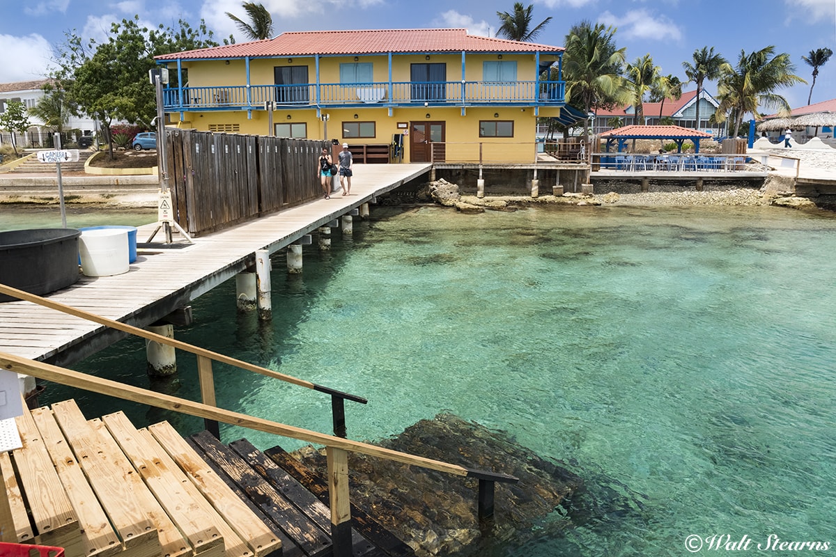 The dock at Divi Flamingo Beach Resort & Casino provides easy, secure water access for first-time shore dives. The dock at Divi Flamingo Beach Resort & Casino provides easy, secure water access for first-time shore dives.