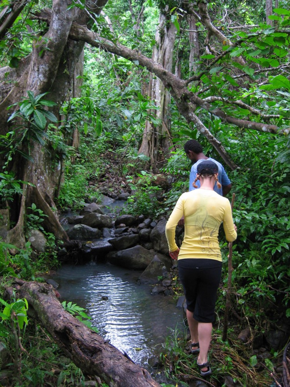 Hikers can explore trails on Beqa, or take day trips to Viti Levu for more trekking adventures. Hikers can explore trails on Beqa, or take day trips to Viti Levu for more trekking adventures.
