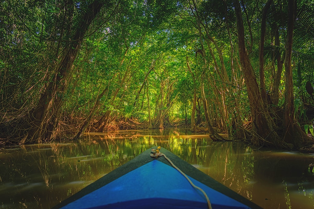 Several of Dominica's larger rivers can be explored by boat or kayak. Several of Dominica's larger rivers can be explored by boat or kayak.