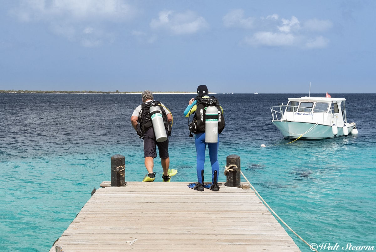 At a number of Bonaire's oceanfront dive resorts, dive sites are just a giant stride away. At a number of Bonaire's oceanfront dive resorts, dive sites are just a giant stride away.