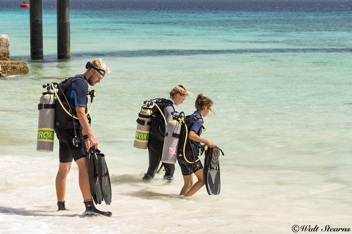 Watching other divers enter and exit the water can provide clues to conditions. Watching other divers enter and exit the water can provide clues to conditions.