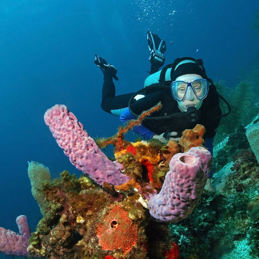 With more than 180 miles of barrier reef, hundreds of square miles of shallow reefs and three offshore atolls, Belize has ample diving variety