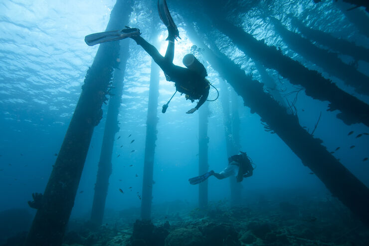 Female diver meanders the legs of the Salt Pier