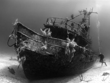 A scuba diver explores a ship wreck in the Bahamas
