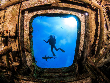 A scuba diver explores a ship wreck in the Bahamas