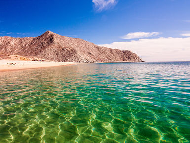 The rich waters of the Sea of Cortez will provide divers with a dazzling variety marine life with a mixture of raw scenic beauty above water