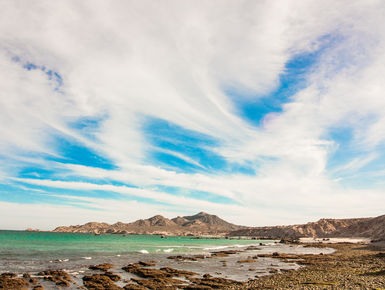 The rich waters of the Sea of Cortez will provide divers with a dazzling variety marine life with a mixture of raw scenic beauty above water