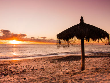 The rich waters of the Sea of Cortez will provide divers with a dazzling variety marine life with a mixture of raw scenic beauty above water