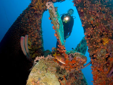 Diver exploring the Hilma Hooker wreck in Bonaire