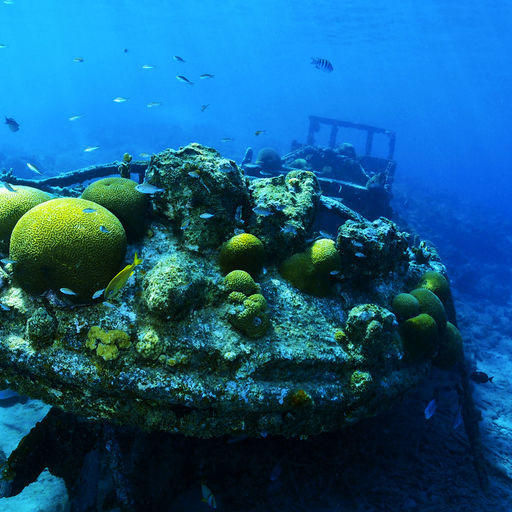 Tugboat wreck lying in the sunlit shallows in Curacao
