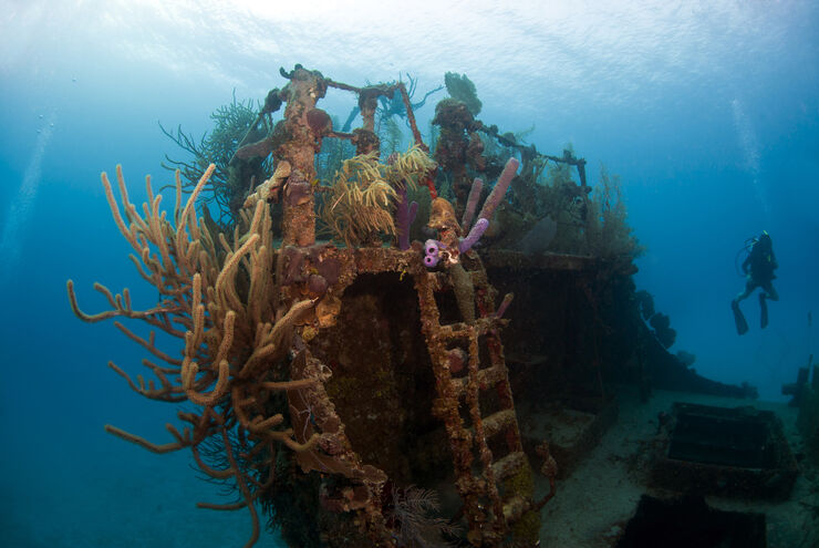 The Bay Islands of Honduras—Roatan, Utila & Guanaja— serve up a quintessential mix of Caribbean dive experiences with near shore shallows to plunging drop-offs and wrecks where divers can spend hours searching for cryptic marine life