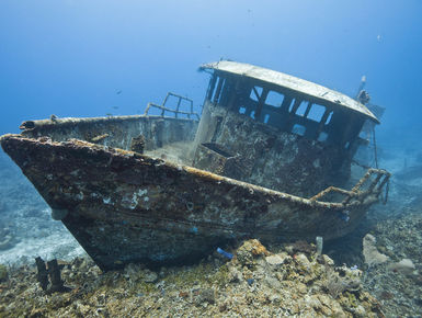 The Bay Islands of Honduras—Roatan, Utila & Guanaja— serve up a quintessential mix of Caribbean dive experiences with near shore shallows to plunging drop-offs and wrecks where divers can spend hours searching for cryptic marine life