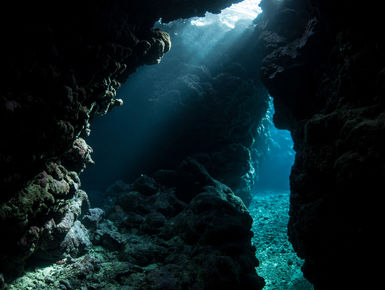 The Solomon Islands still remains one of the Pacific’s best-kept secrets with a splendid diversity of marine life that thrives among the region’s extensive collection of coral reefs and historic war wrecks