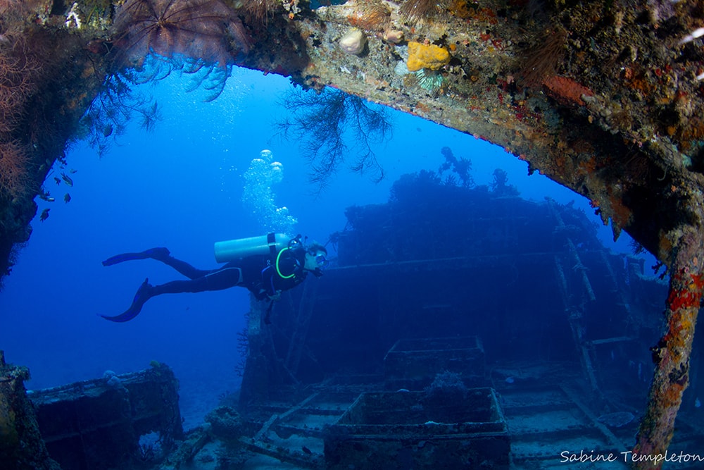 Divers can explore coral reefs and shipwrecks, or participate in a shark feeding. Divers can explore coral reefs and shipwrecks, or participate in a shark feeding.