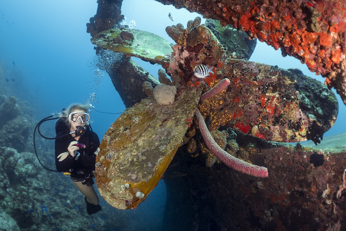 The wreck of the Helma Hooker can be reached from shore with a relatively short swim. The wreck of the Helma Hooker can be reached from shore with a relatively short swim.