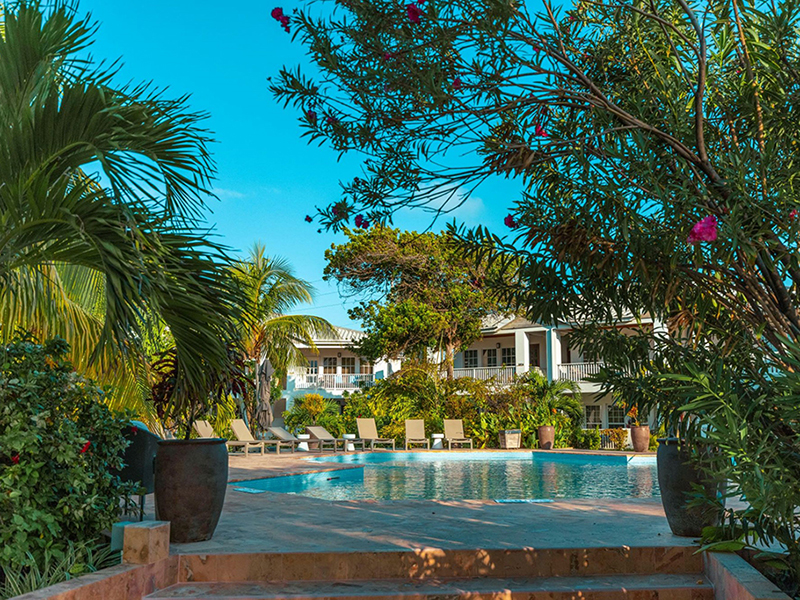 The Reef House pool is set in the relaxing environment of a tropical garden. The Reef House pool is set in the relaxing environment of a tropical garden.