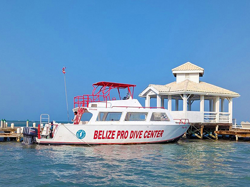 The dive boat fleet includes a large launch with sheltered seating. The dive boat fleet includes a large launch with sheltered seating.