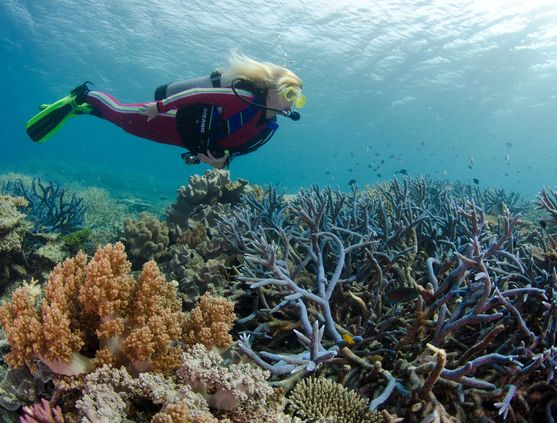 SCUBA diving in Australia