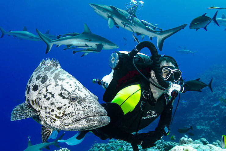 SCUBA diving in Australia