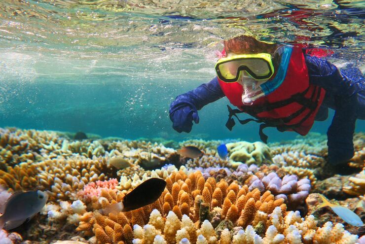 Snorkeling in Australia