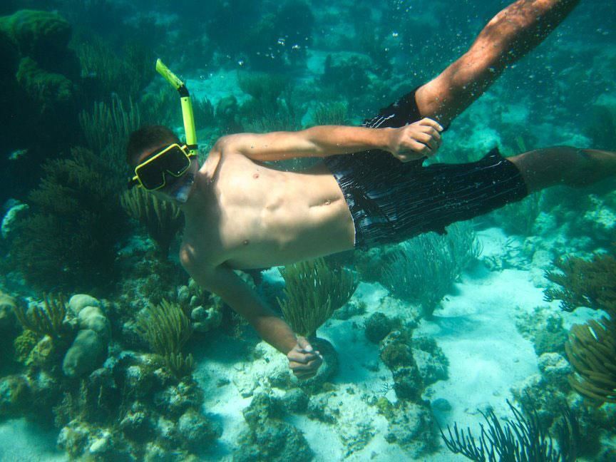 Snorkeling in the Bahamas Snorkeling in the Bahamas