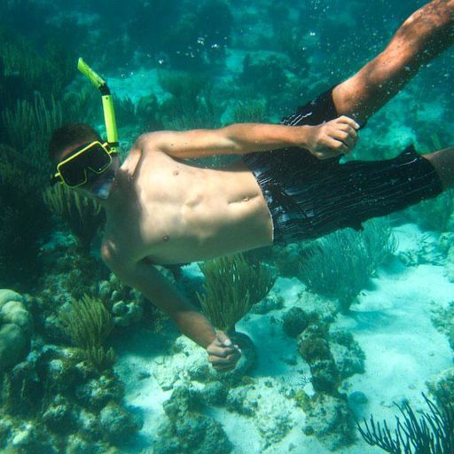 Snorkeling in the Bahamas