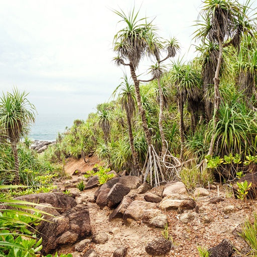 Hiking in Barbados