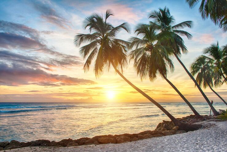 Vacations in Barbados