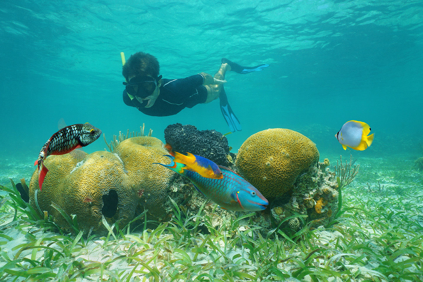 Snorkeling in Belize