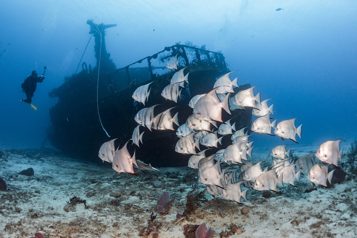 Cozumel wreck dive Cozumel wreck dive