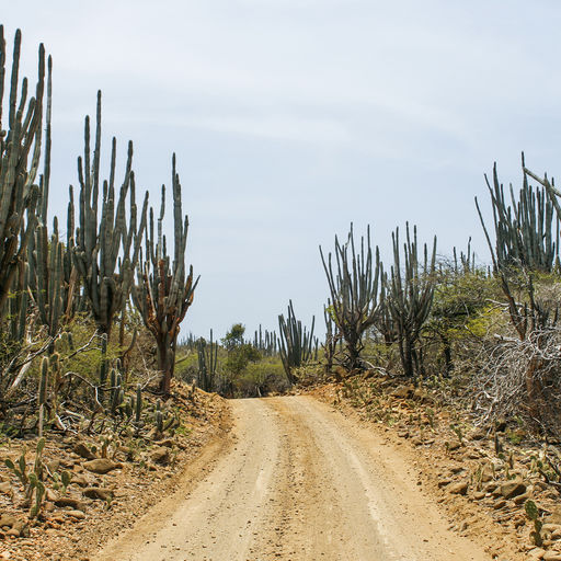 Offroading in Bonaire