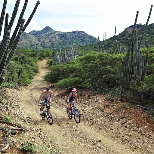 Biking in Bonaire