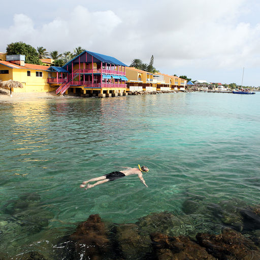 Snorkeling in Bonaire