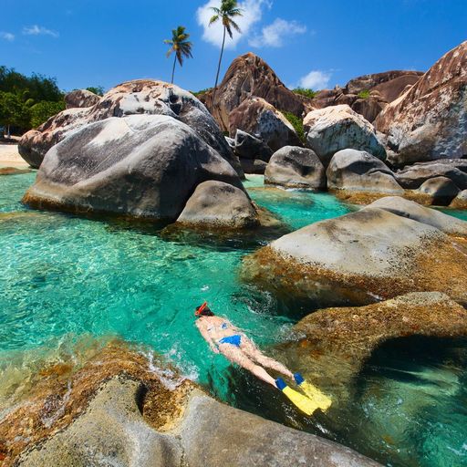 Snorkeling in the British Virgin Islands