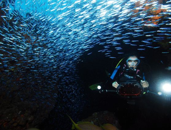SCUBA diving in the British Virgin Islands