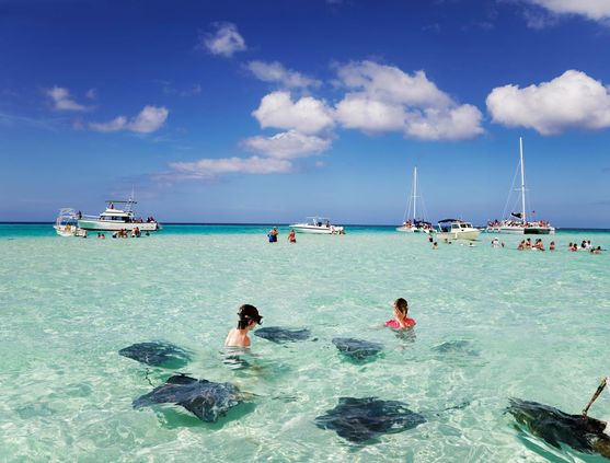 Snorkeling in the Cayman Islands