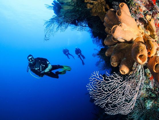 SCUBA diving in the Cayman Islands