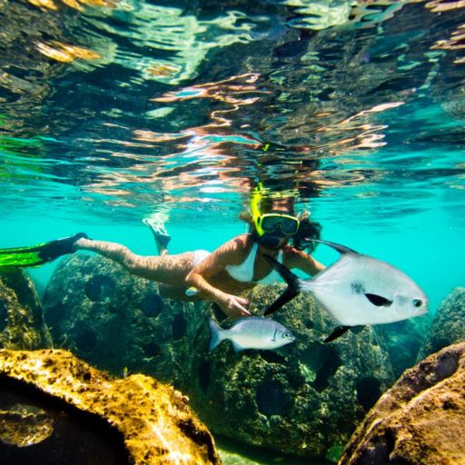 Snorkeling in the Cayman Islands
