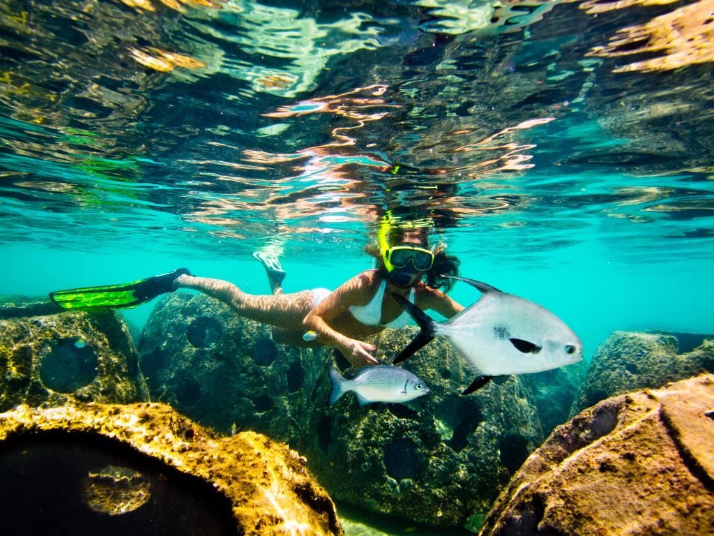 Snorkeling in the Cayman Islands Snorkeling in the Cayman Islands