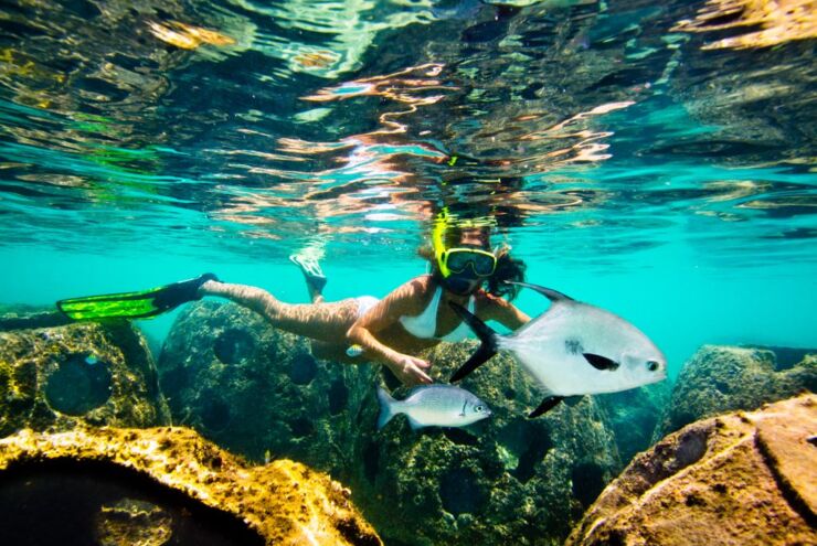 Snorkeling in the Cayman Islands