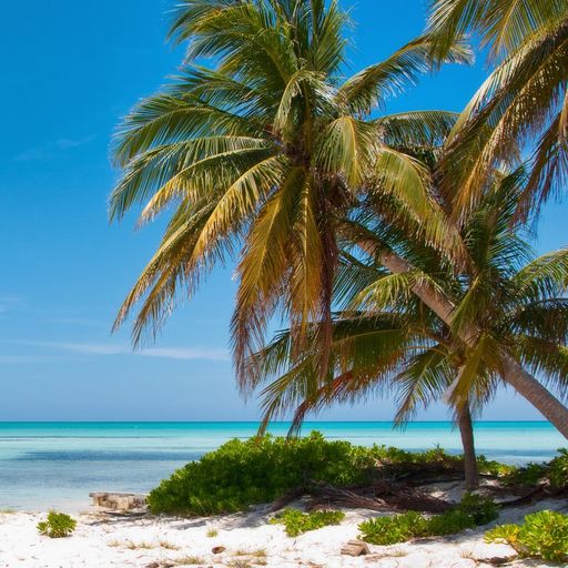 Vacations in the Cayman Islands