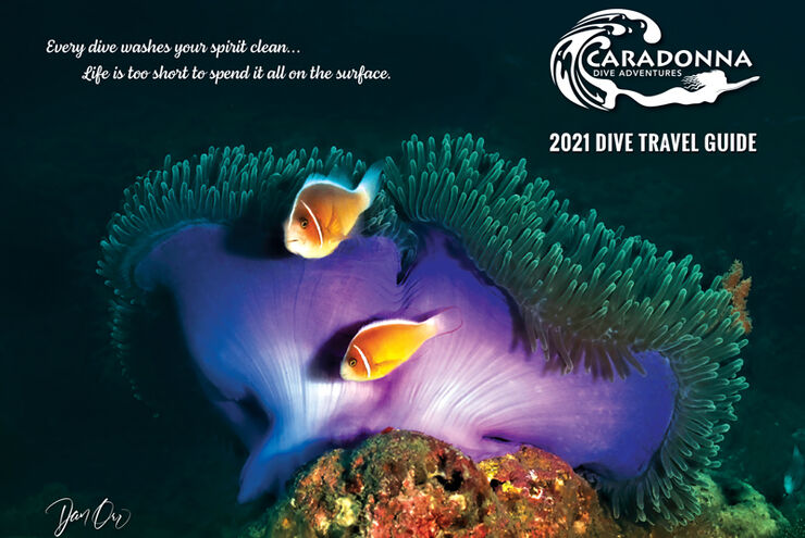 2021 Digital Dive Travel Guide
