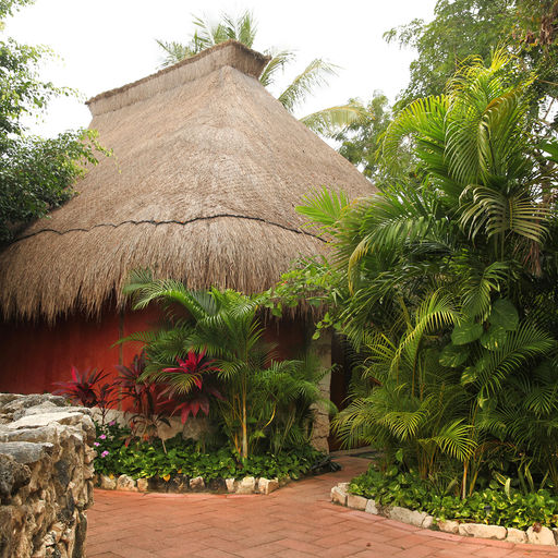 Cultural Activities in Cozumel