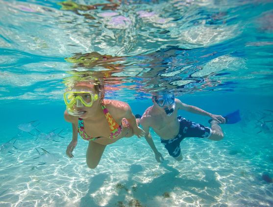 Snorkeling in Cozumel, Mexico