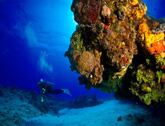 SCUBA diving in Cozumel, Mexico