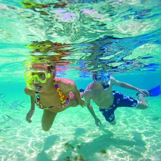 Snorkeling in Cozumel