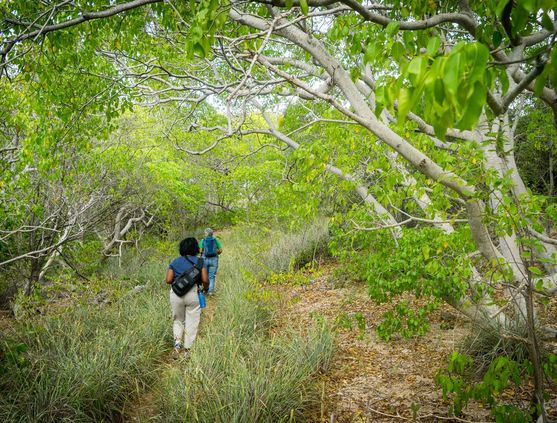 Hiking in Curacao