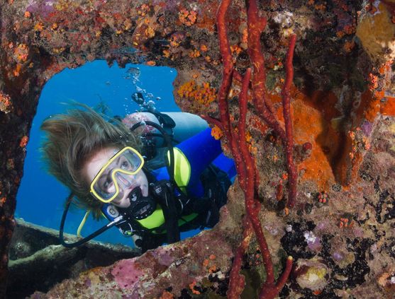 SCUBA diving in Curacao