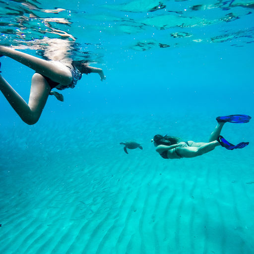 Snorkeling in Curacao