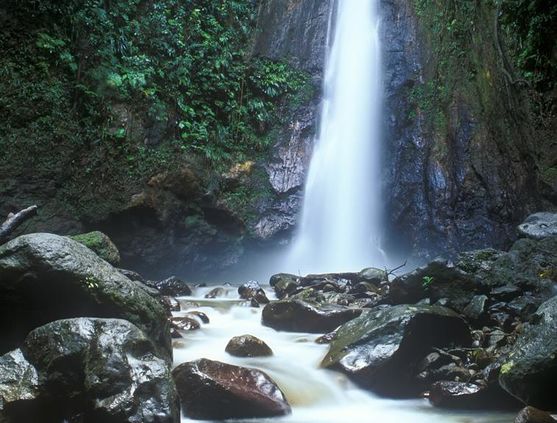 Hiking in Dominica